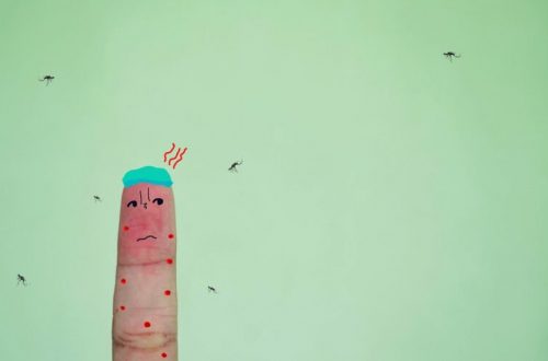 Okamžité ošetrenie alergika po bodnutí hmyzom